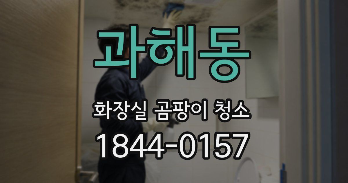 과해동 화장실 곰팡이 청소