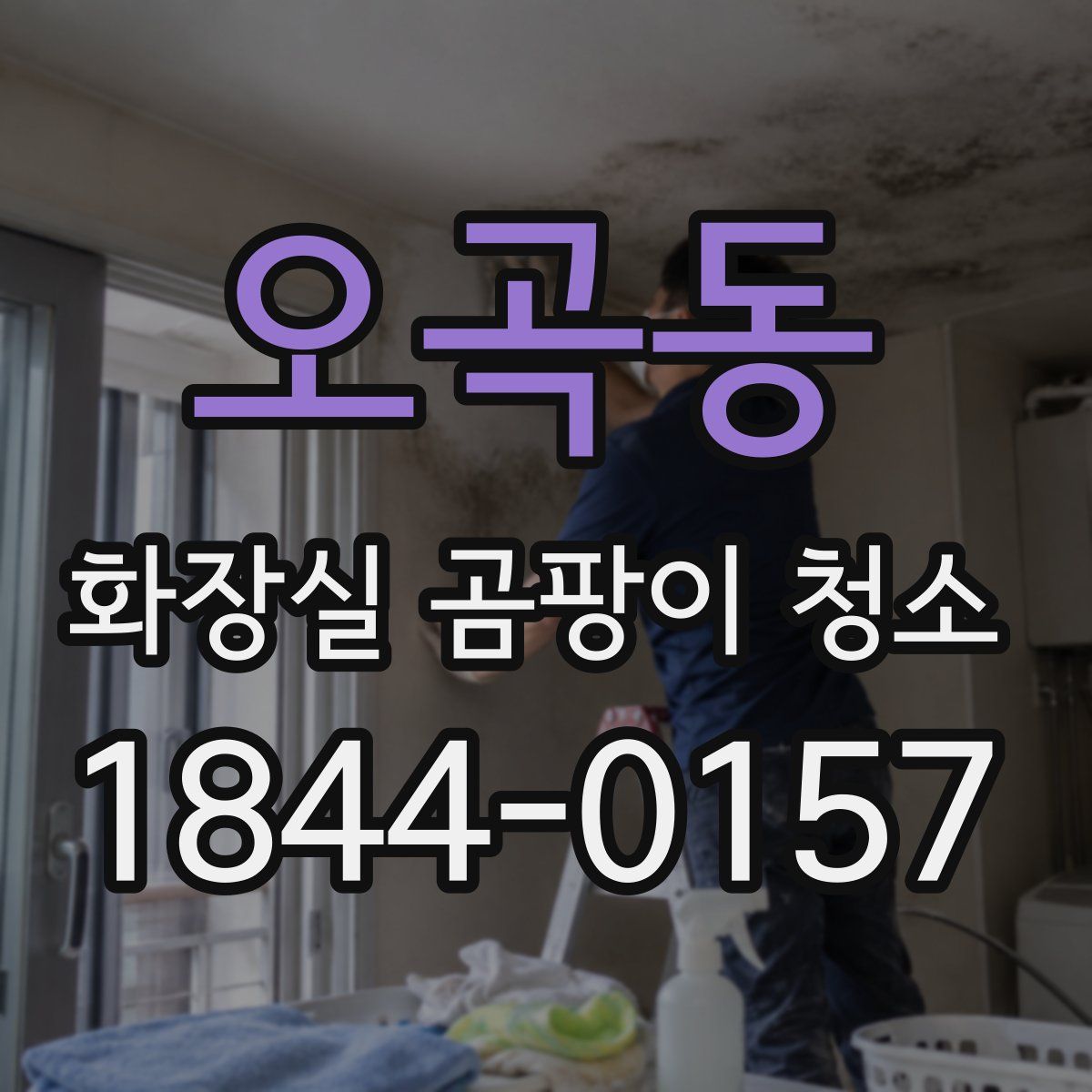 오곡동 화장실 곰팡이 청소