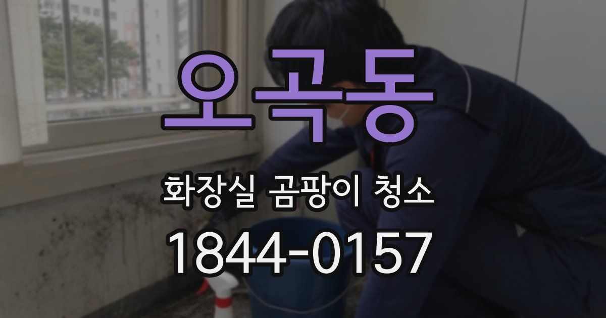 오곡동 화장실 곰팡이 청소