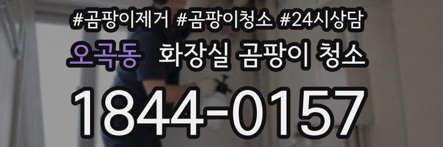 오곡동 화장실 곰팡이 청소