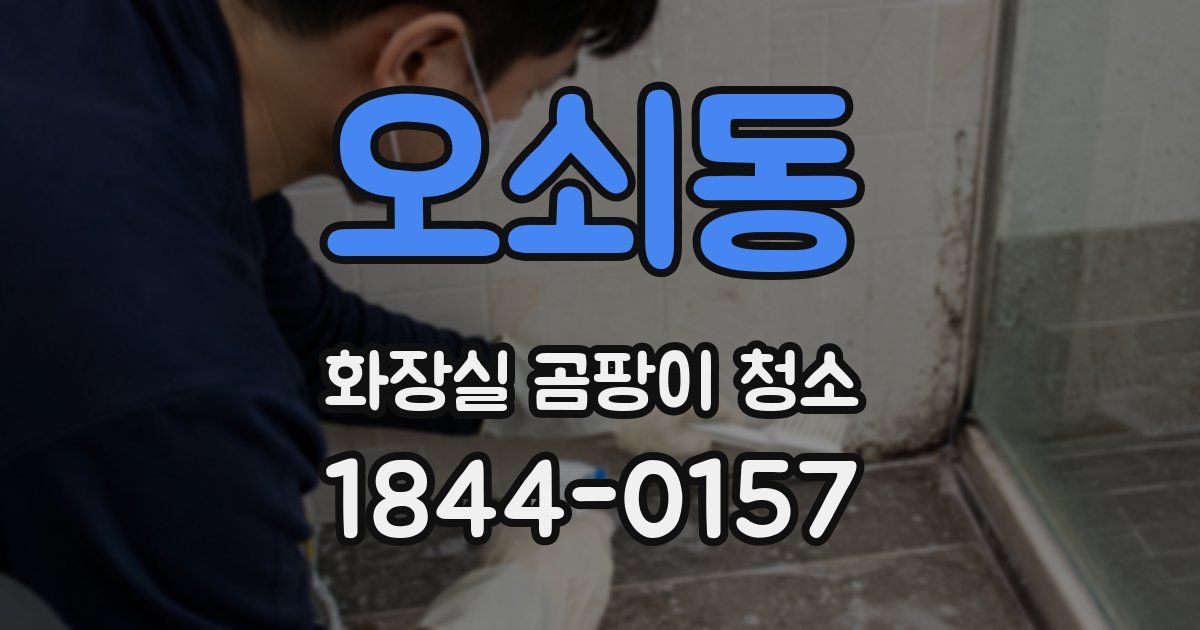 오쇠동 화장실 곰팡이 청소