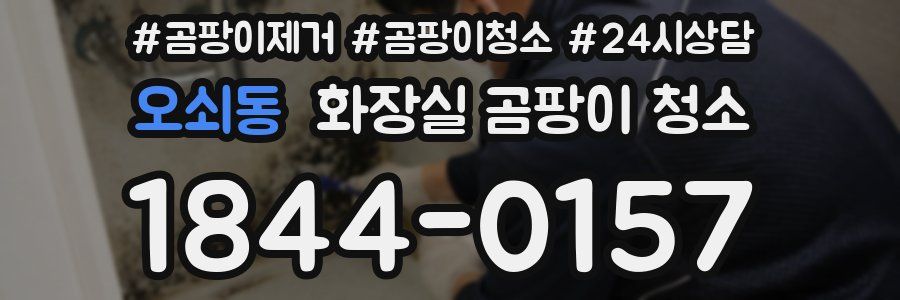 오쇠동 화장실 곰팡이 청소