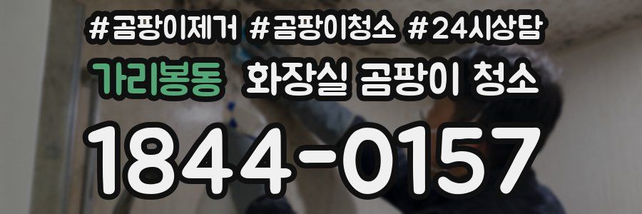 가리봉동 화장실 곰팡이 청소