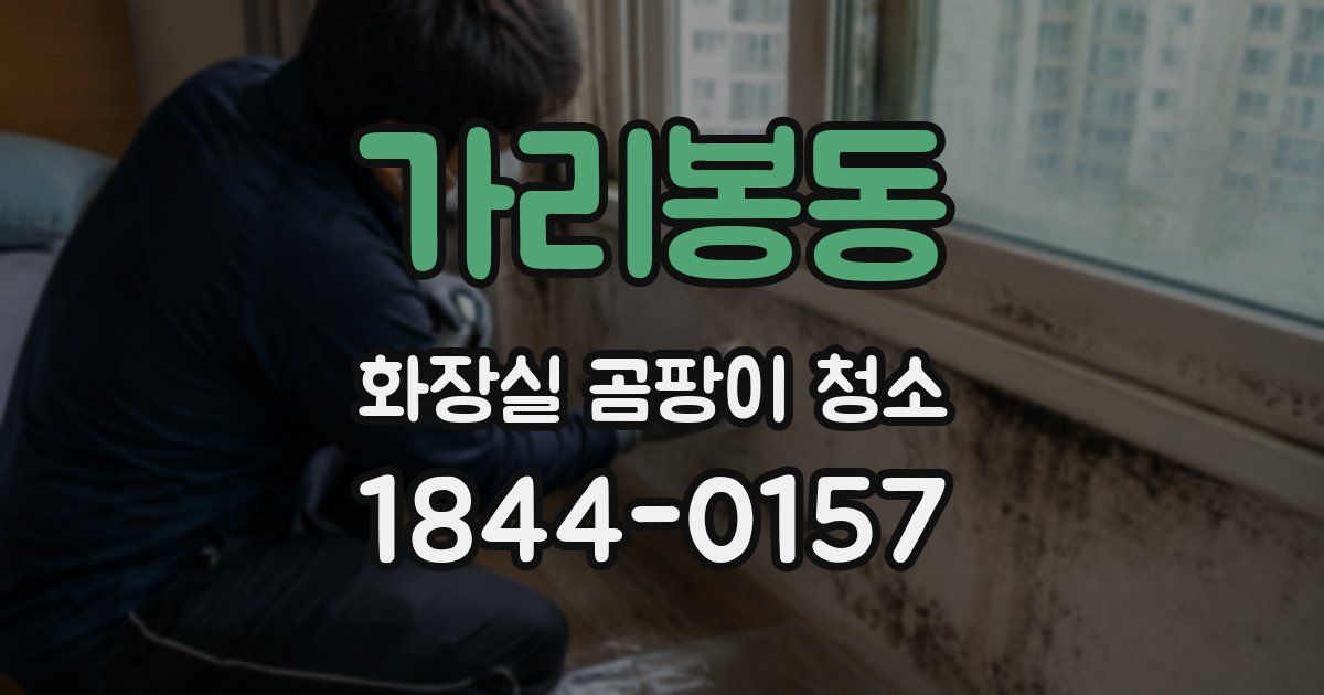 가리봉동 화장실 곰팡이 청소