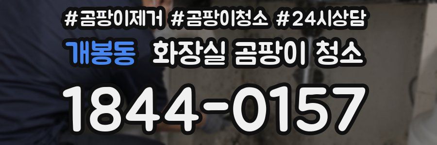 개봉동 화장실 곰팡이 청소