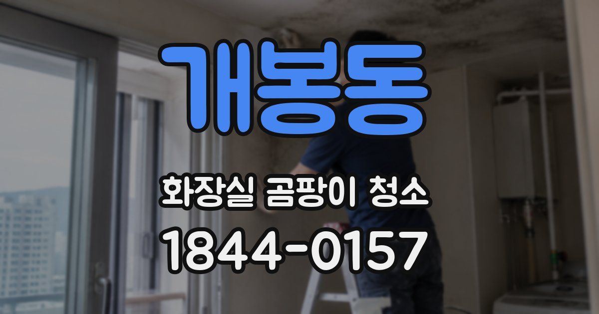 개봉동 화장실 곰팡이 청소