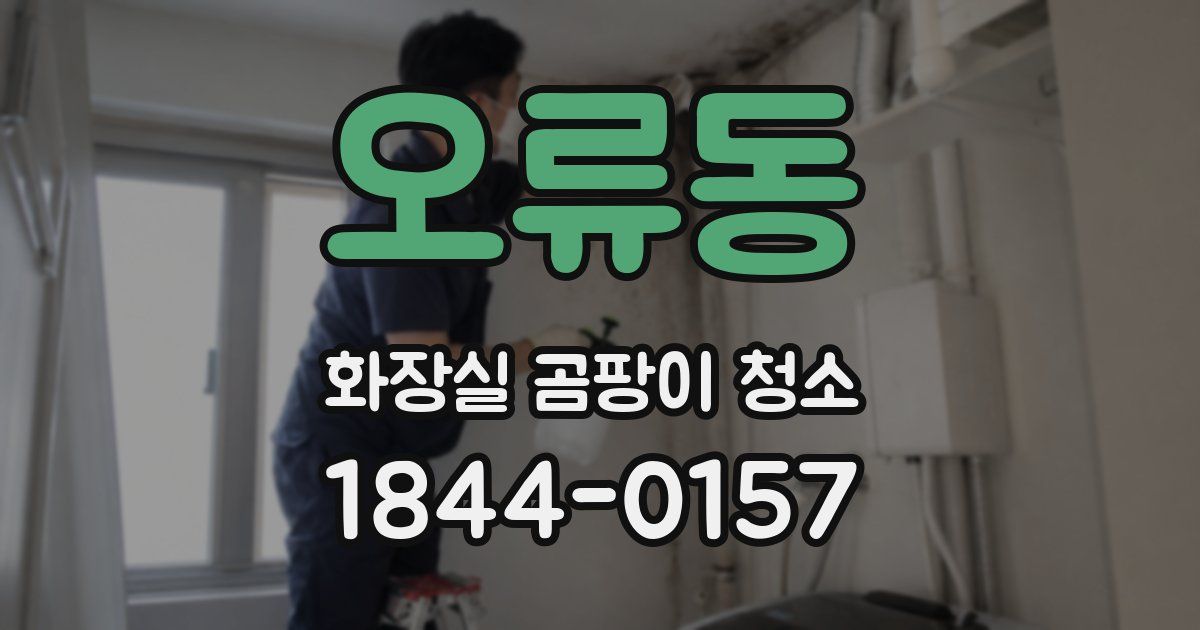 오류동 화장실 곰팡이 청소
