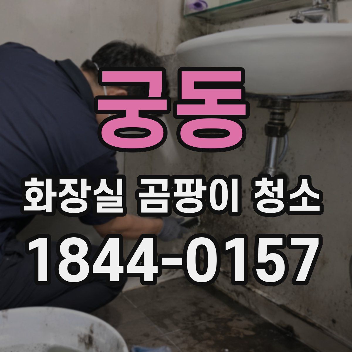 궁동 화장실 곰팡이 청소