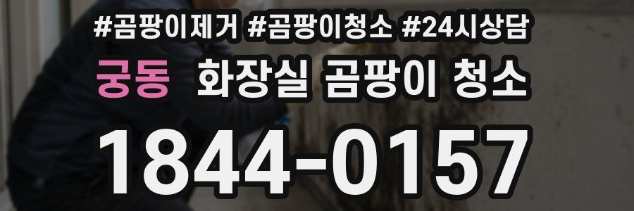 궁동 화장실 곰팡이 청소