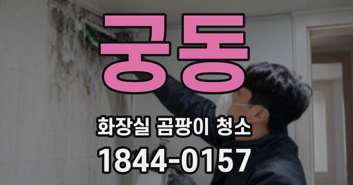 궁동 화장실 곰팡이 청소
