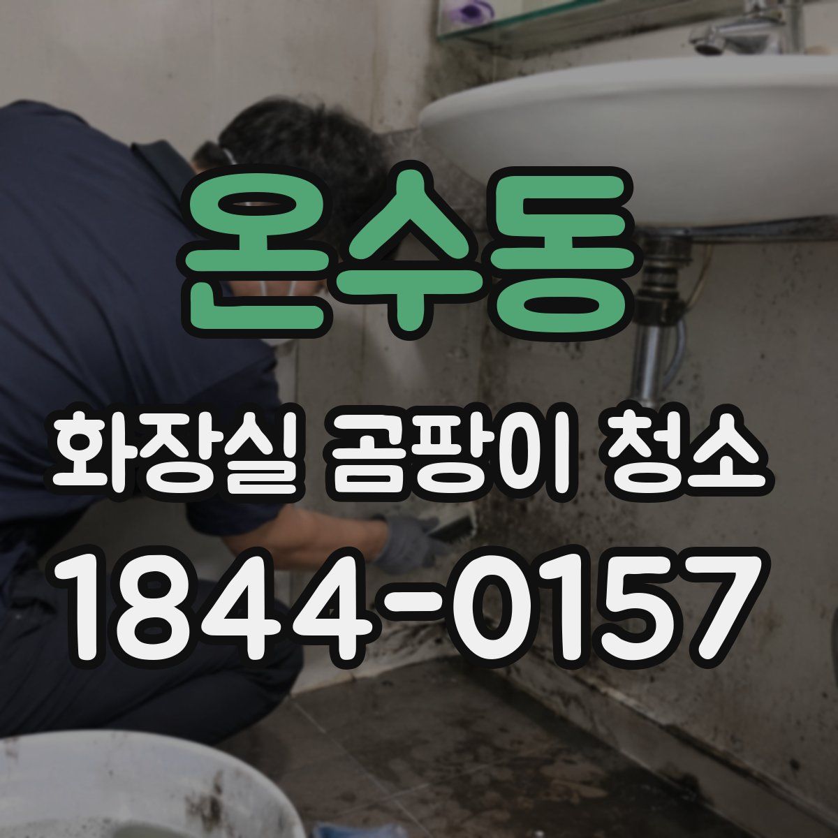 온수동 화장실 곰팡이 청소