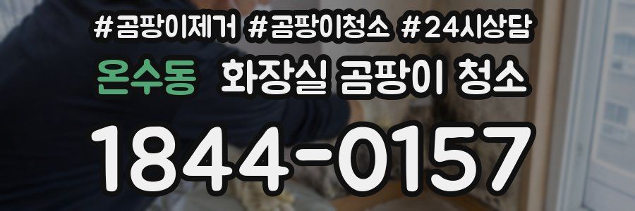 온수동 화장실 곰팡이 청소