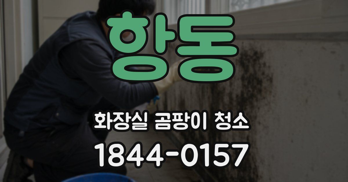 항동 화장실 곰팡이 청소
