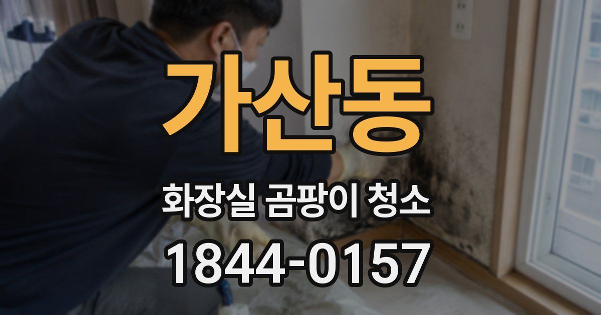 가산동 화장실 곰팡이 청소