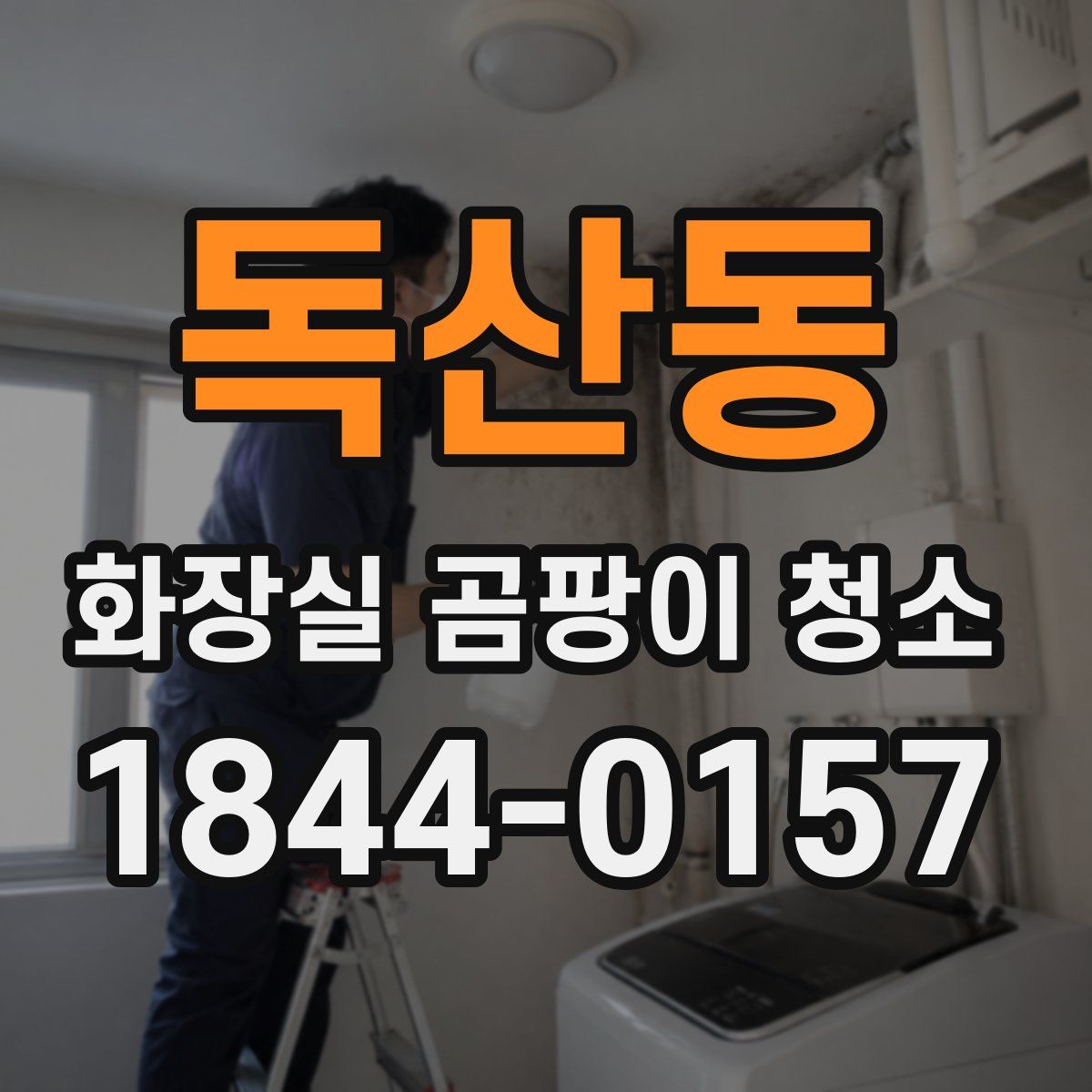 독산동 화장실 곰팡이 청소