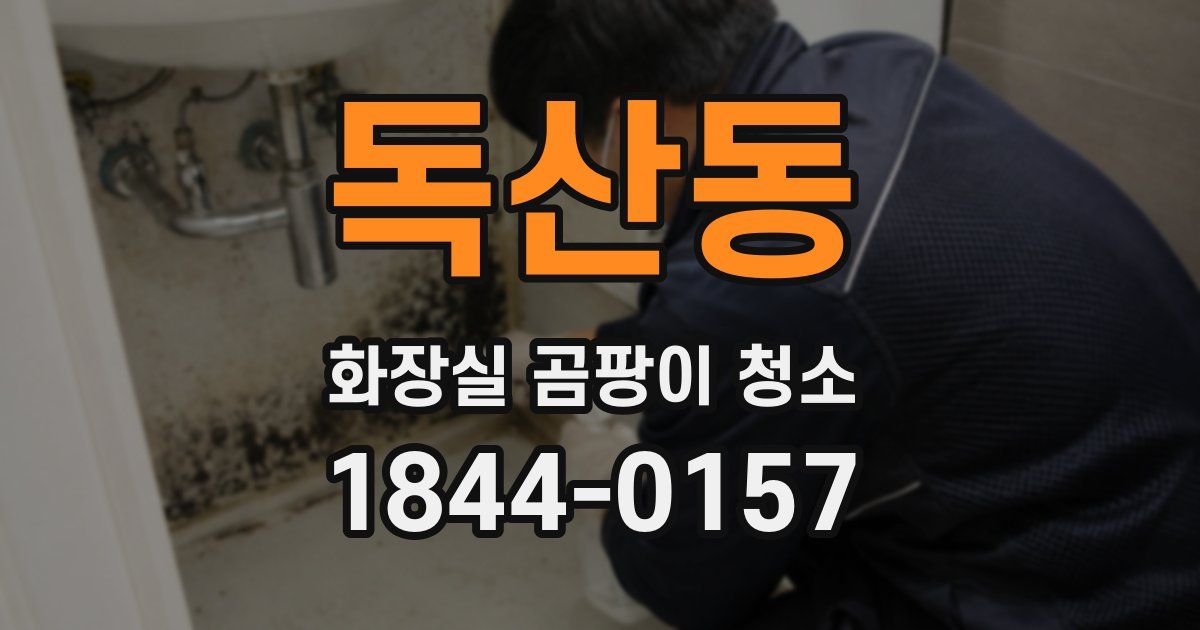 독산동 화장실 곰팡이 청소