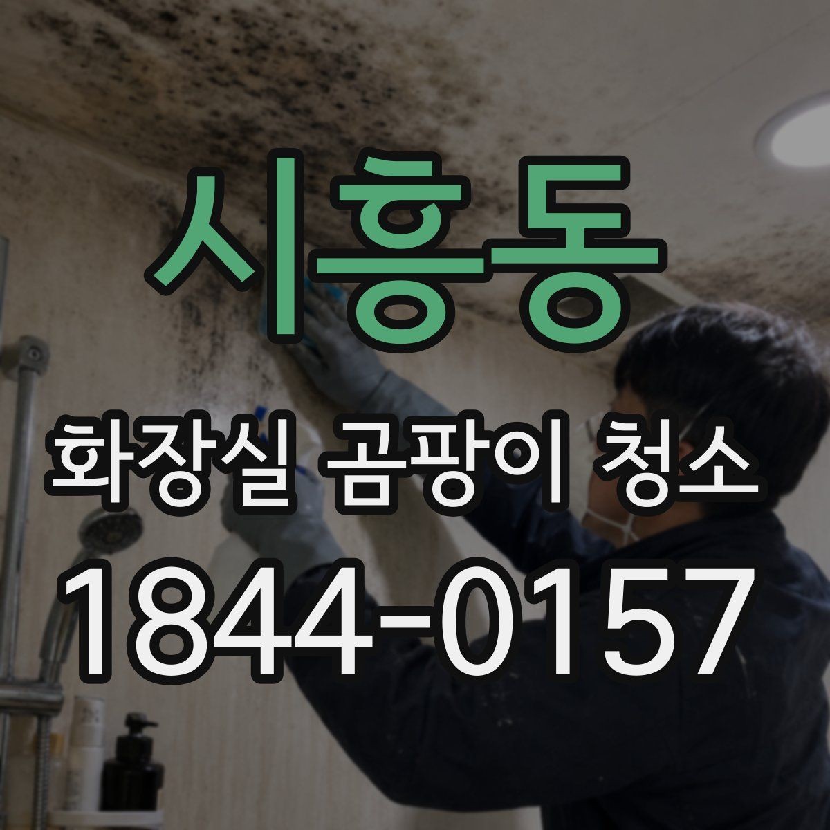시흥동 화장실 곰팡이 청소 비눗기와 곰팡이를 구분해 손보는 법