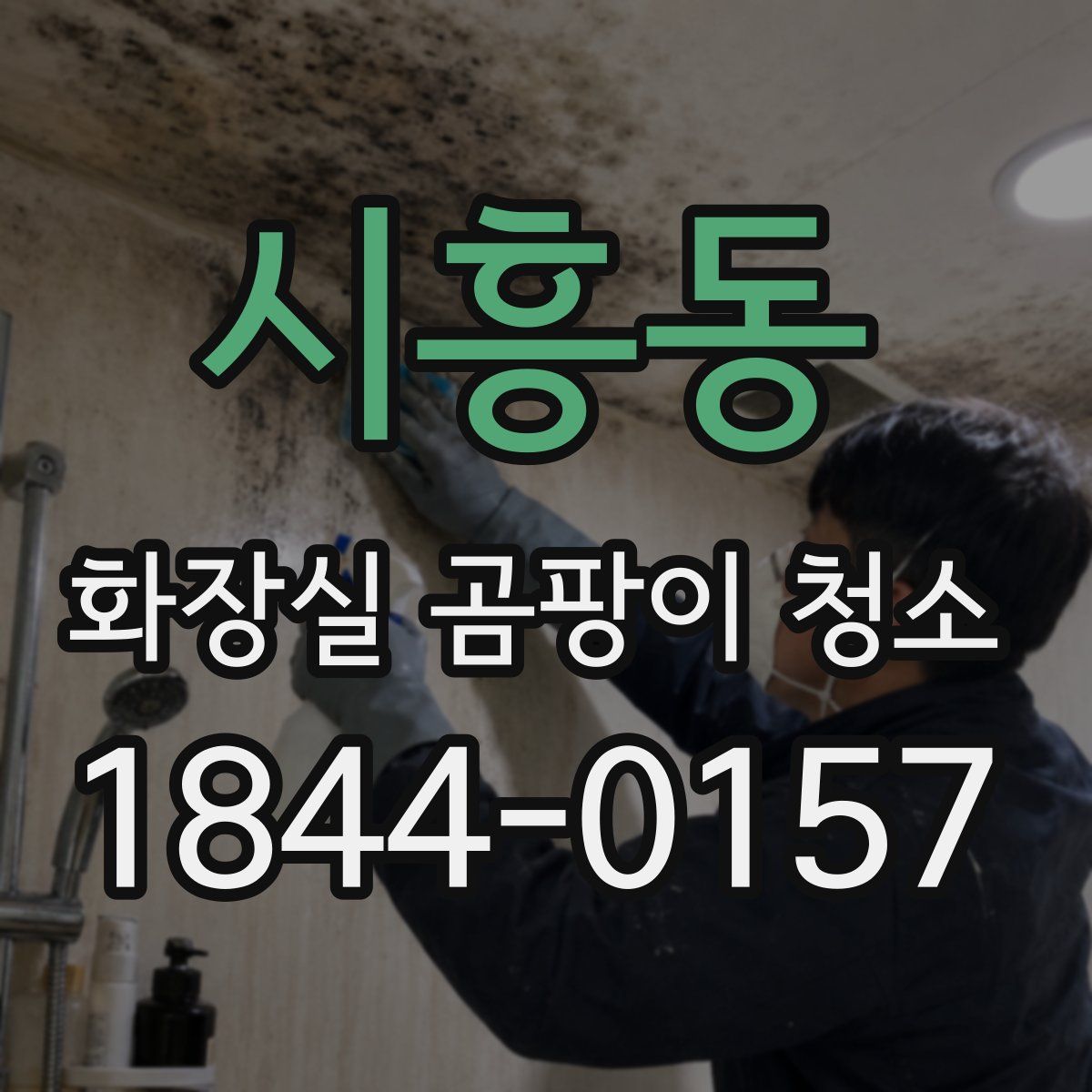 시흥동 화장실 곰팡이 청소