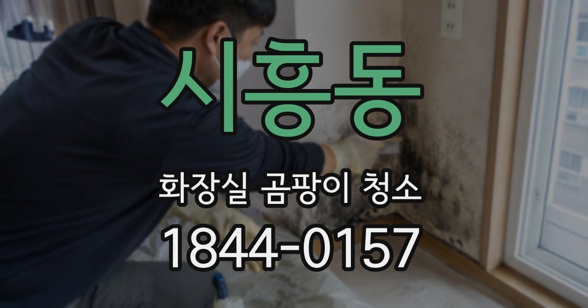 시흥동 화장실 곰팡이 청소
