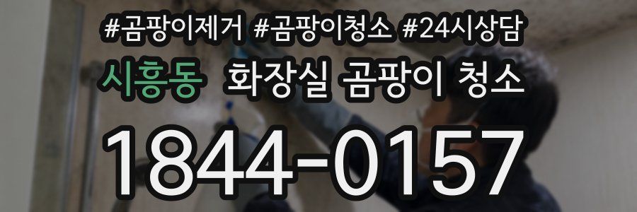 시흥동 화장실 곰팡이 청소