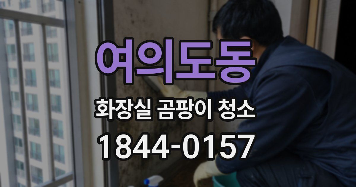 여의도동 화장실 곰팡이 청소