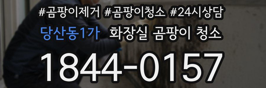 당산동1가 화장실 곰팡이 청소