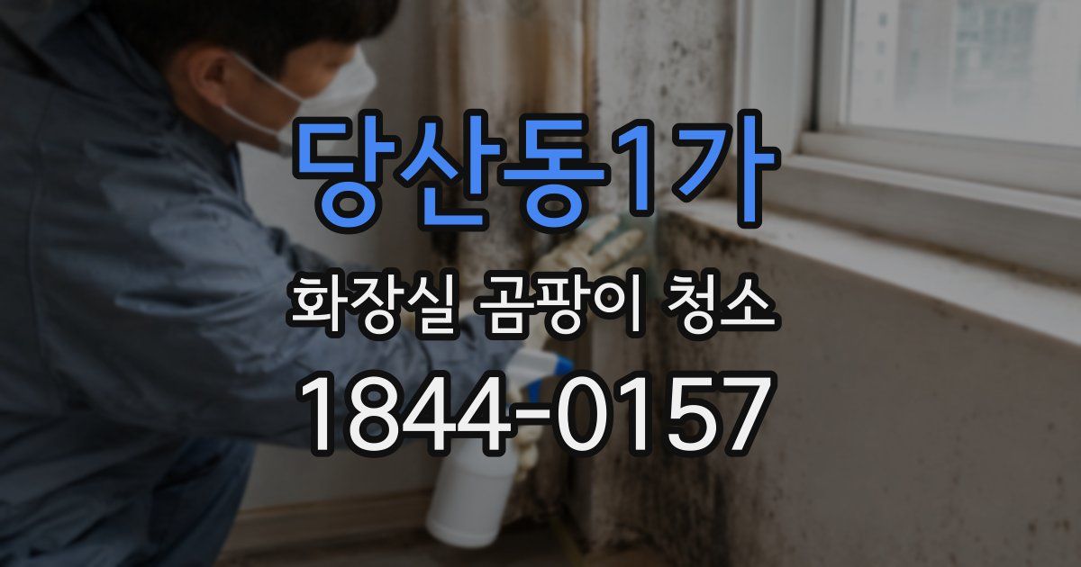 당산동1가 화장실 곰팡이 청소