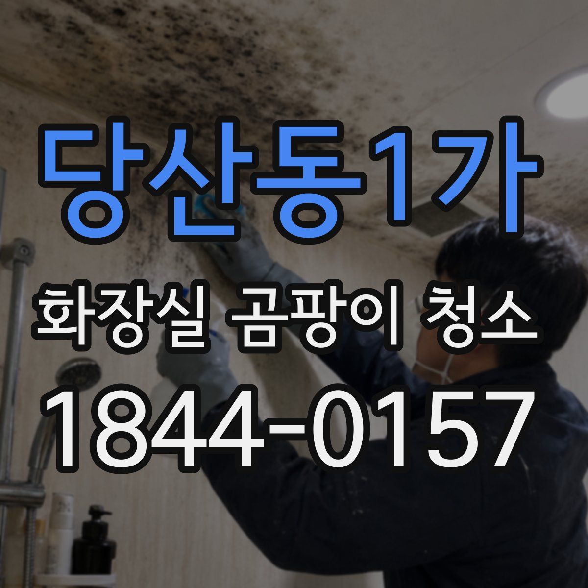 당산동1가 화장실 곰팡이 청소