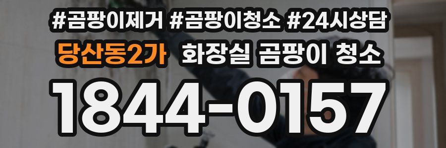 당산동2가 화장실 곰팡이 청소