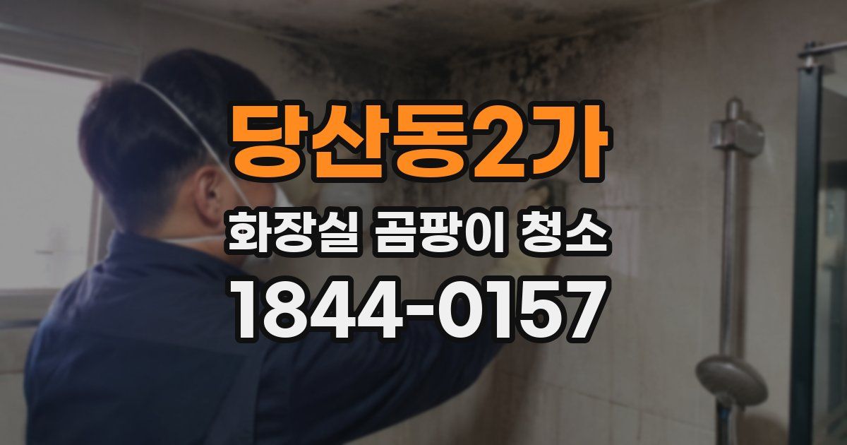 당산동2가 화장실 곰팡이 청소