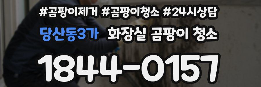 당산동3가 화장실 곰팡이 청소