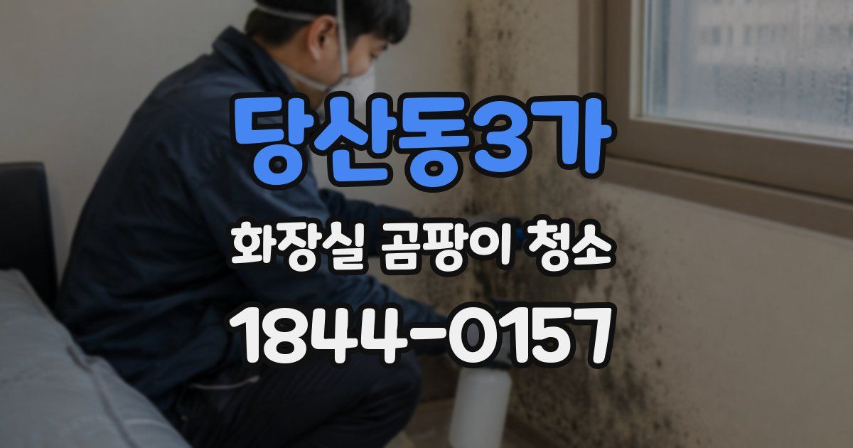 당산동3가 화장실 곰팡이 청소