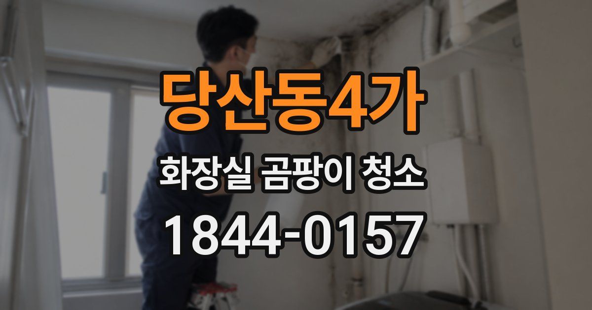 당산동4가 화장실 곰팡이 청소