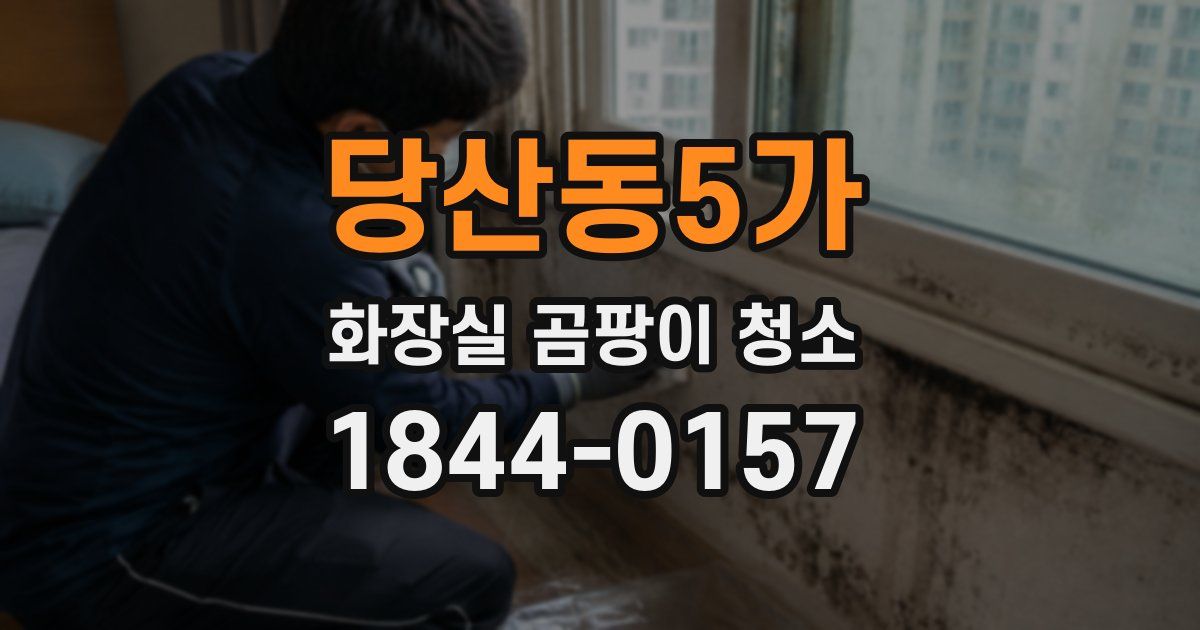 당산동5가 화장실 곰팡이 청소
