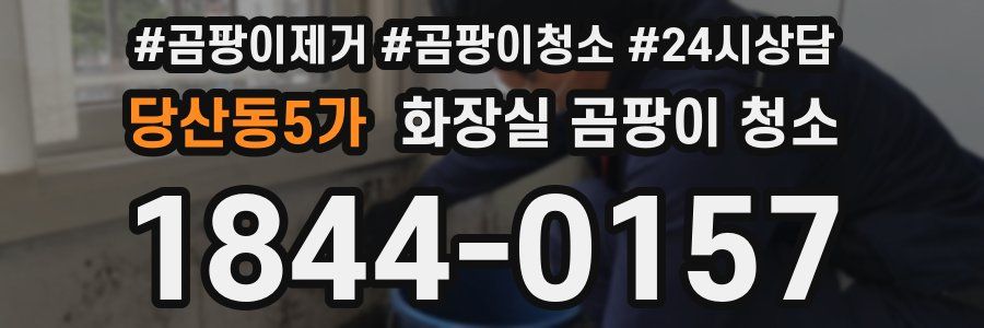 당산동5가 화장실 곰팡이 청소