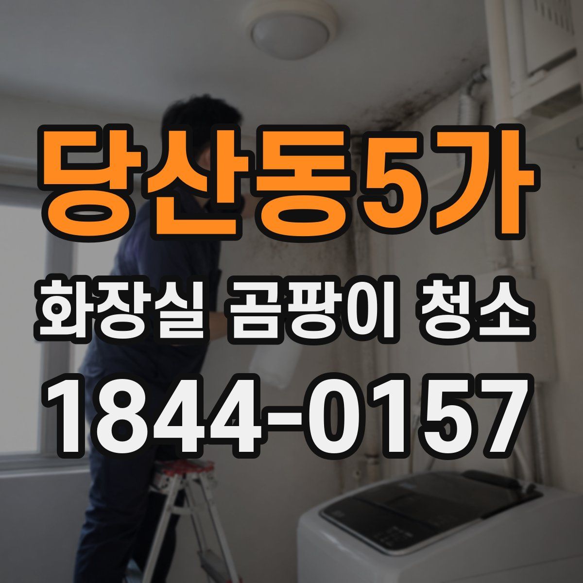 당산동5가 화장실 곰팡이 청소