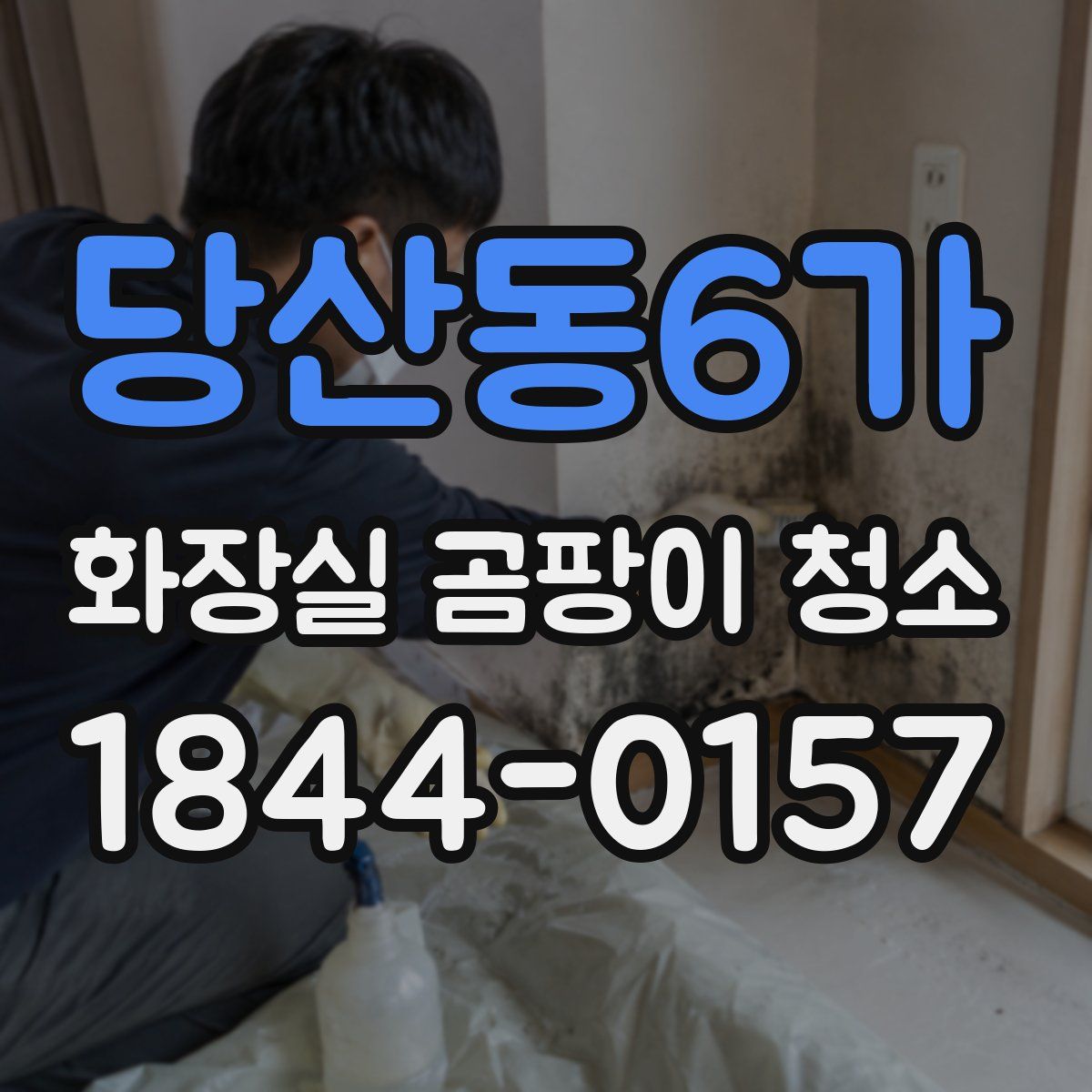 당산동6가 화장실 곰팡이 청소