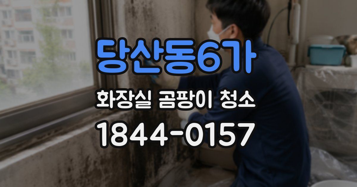 당산동6가 화장실 곰팡이 청소