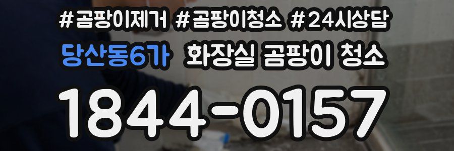 당산동6가 화장실 곰팡이 청소