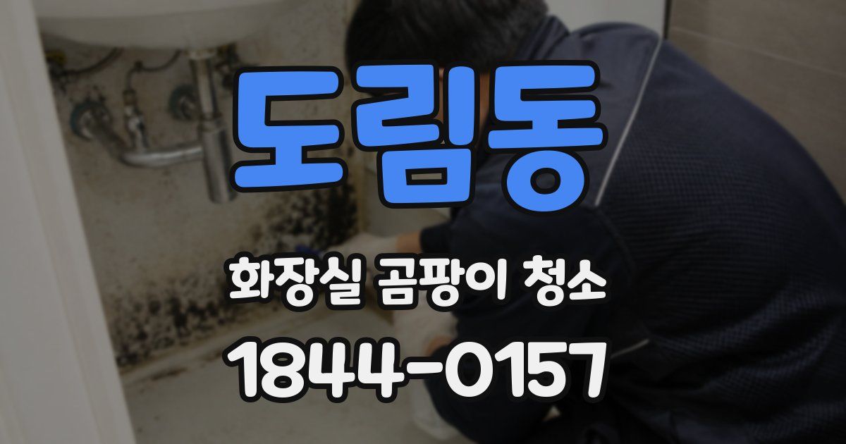 도림동 화장실 곰팡이 청소
