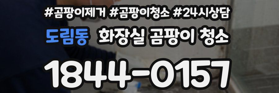 도림동 화장실 곰팡이 청소