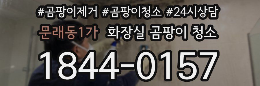 문래동1가 화장실 곰팡이 청소