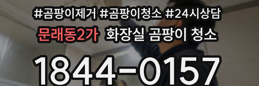 문래동2가 화장실 곰팡이 청소