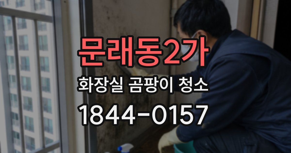 문래동2가 화장실 곰팡이 청소