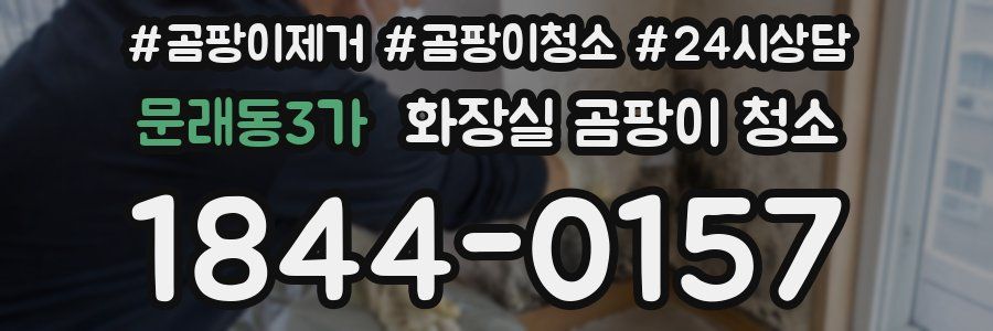 문래동3가 화장실 곰팡이 청소