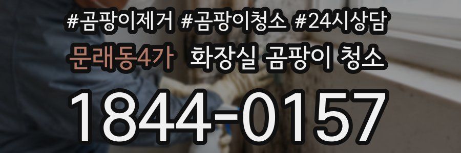 문래동4가 화장실 곰팡이 청소