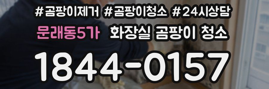 문래동5가 화장실 곰팡이 청소