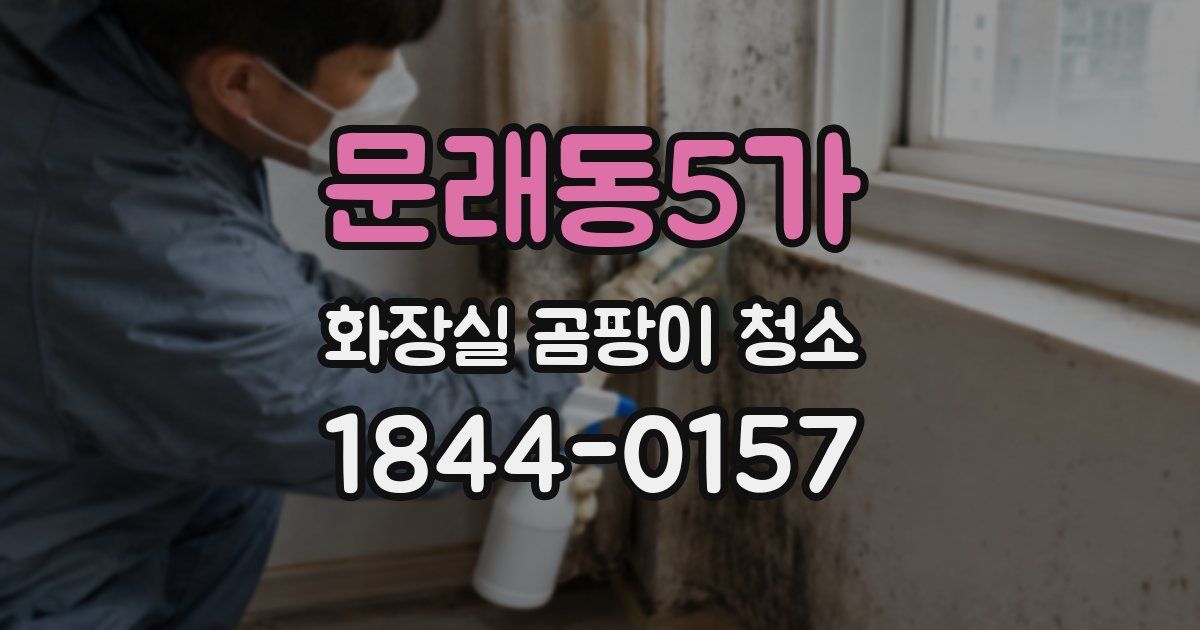 문래동5가 화장실 곰팡이 청소