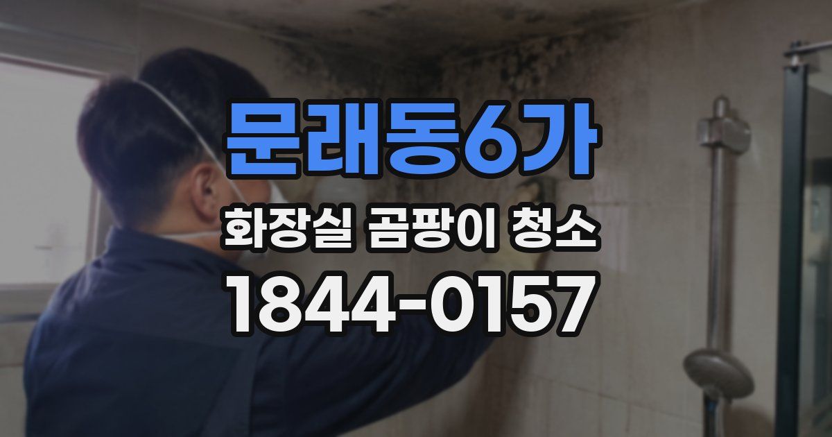문래동6가 화장실 곰팡이 청소
