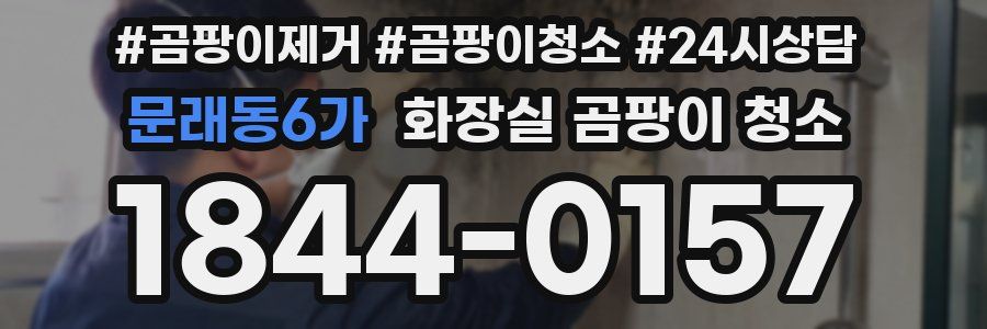 문래동6가 화장실 곰팡이 청소